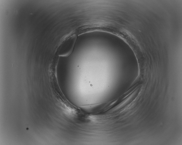 X0000072971210200607211214