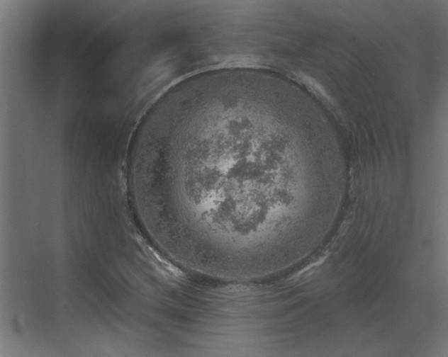 X0000072971212200607211214