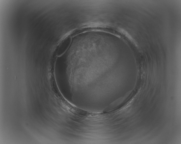 X0000072971213200607211214