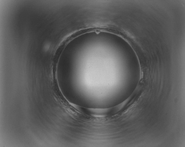 X0000072971214200607211214