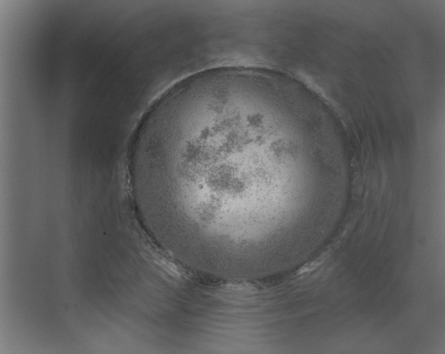 X0000072971215200607211214