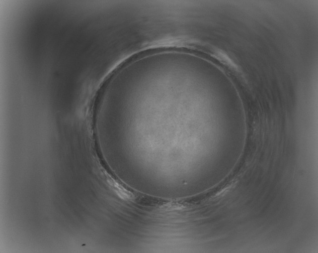 X0000072971216200607211214