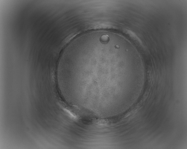 X0000072971217200607211214