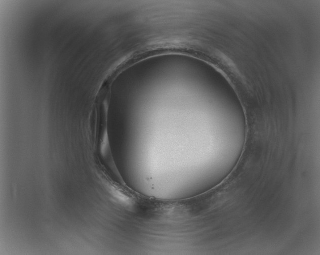 X0000072971218200607211214