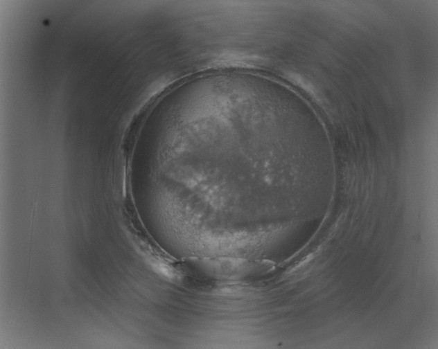 X0000072971219200607211214