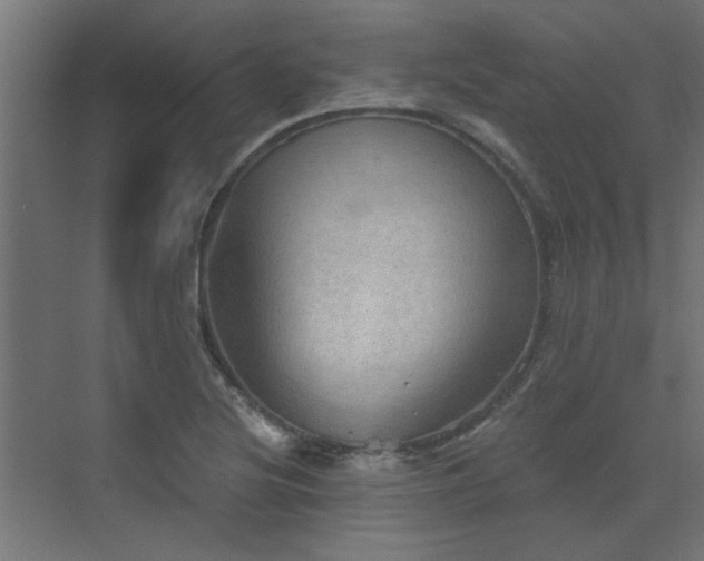 X0000072971220200607211215