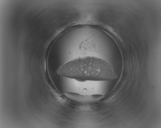 X0000072971221200607211215