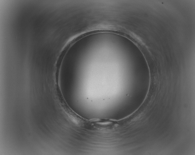 X0000072971222200607211215