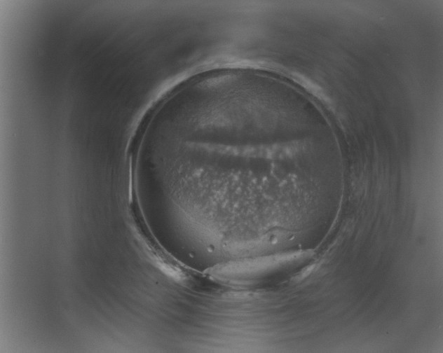 X0000072971223200607211215