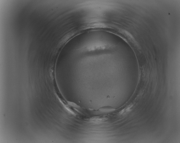 X0000072971225200607211215