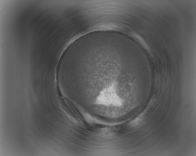 X0000072971226200607211215