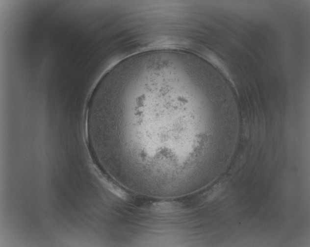 X0000072971227200607211215