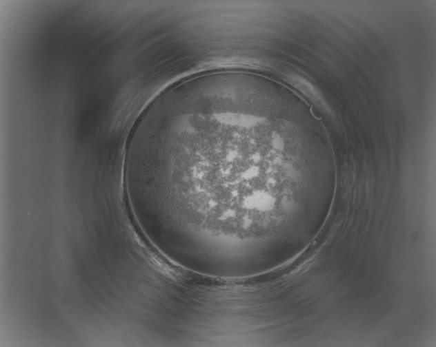 X0000072971228200607211215