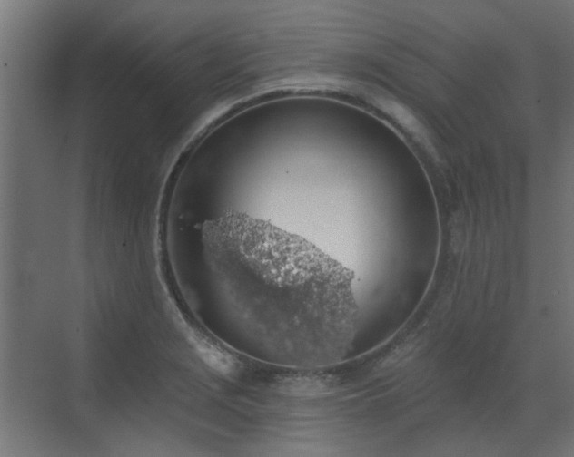 X0000072971229200607211215