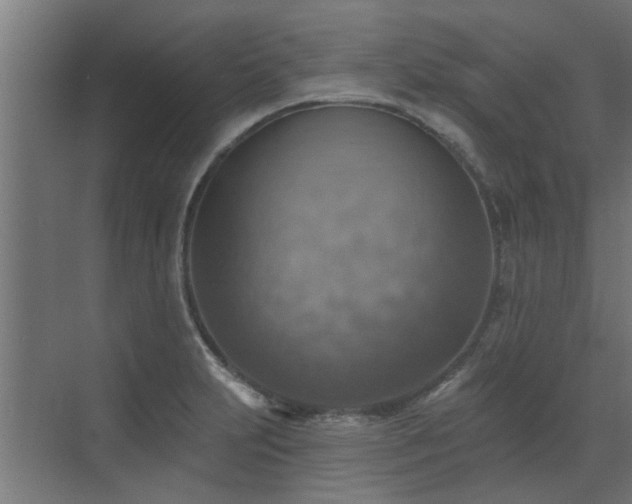 X0000072971231200607211215