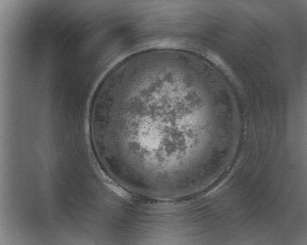 X0000072971232200607211215