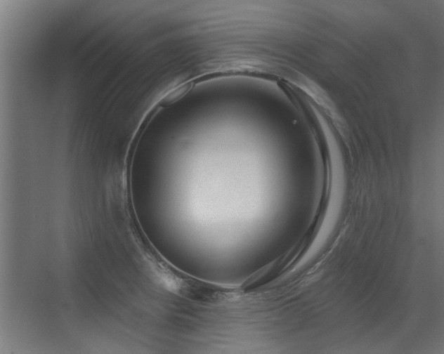 X0000072971234200607211215