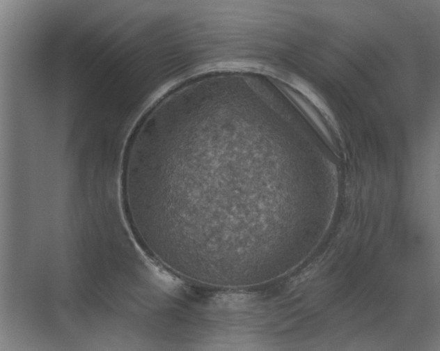 X0000072971237200607211215