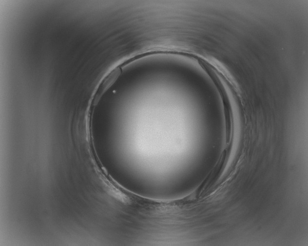 X0000072971238200607211215