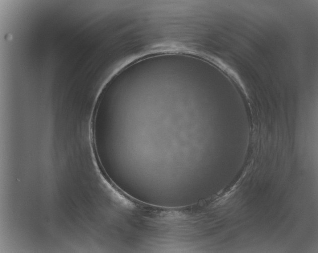 X0000072971239200607211215