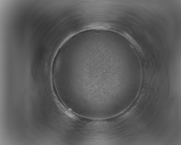 X0000072971240200607211215