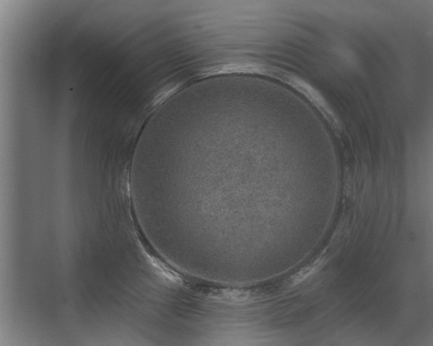 X0000072971241200607211215