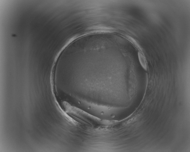 X0000072971243200607211215