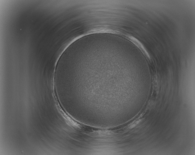 X0000072971244200607211215