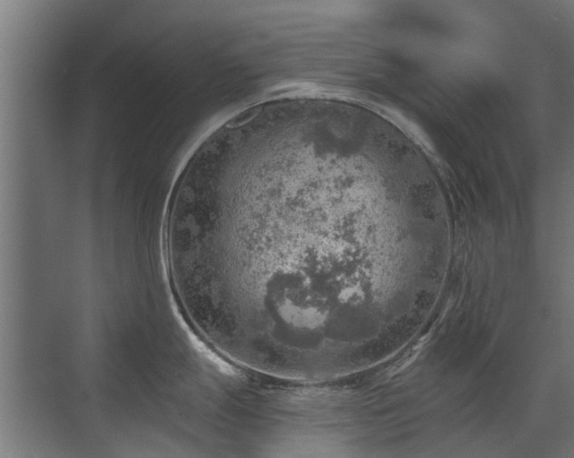 X0000072971247200607211215