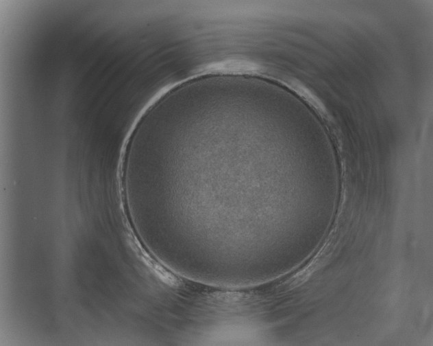 X0000072971248200607211215