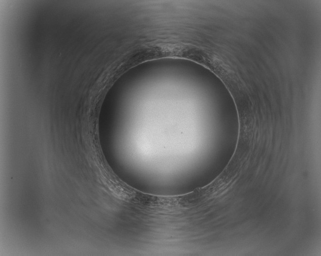 X0000072971249200607211214