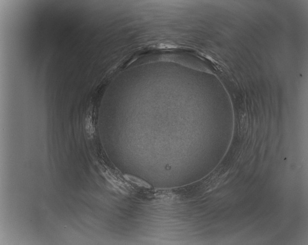 X0000072971250200607211214