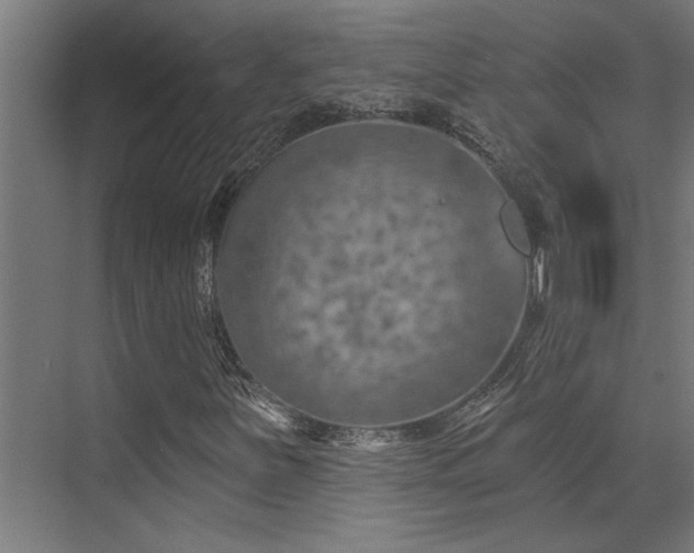 X0000072971251200607211214