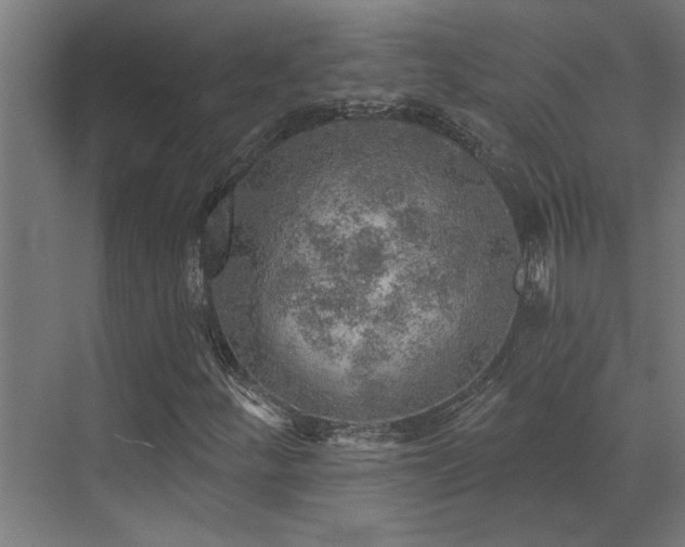 X0000072971252200607211214