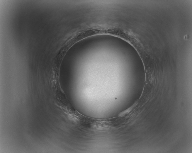 X0000072971253200607211214