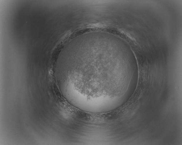 X0000072971254200607211214