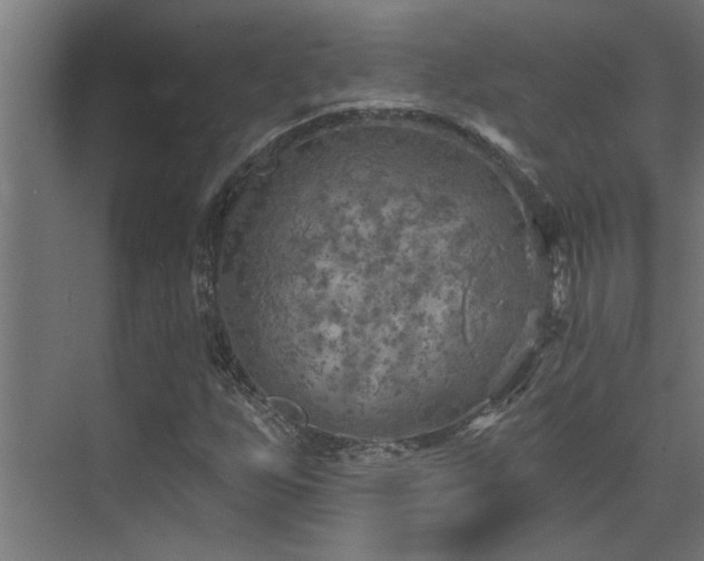 X0000072971255200607211214