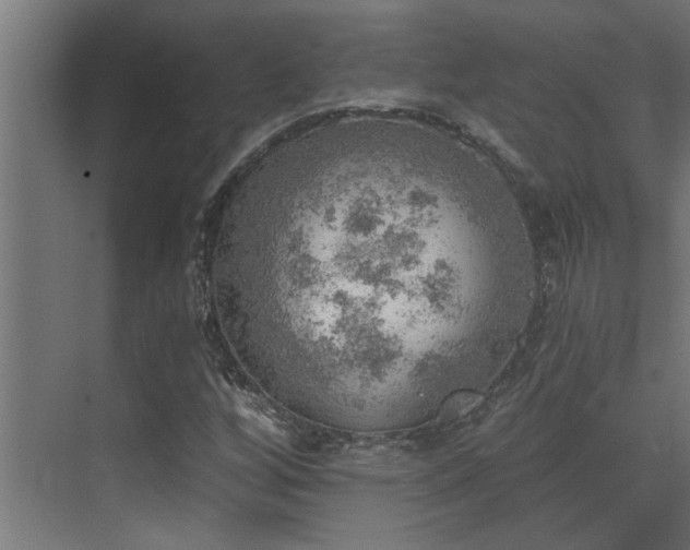 X0000072971256200607211214