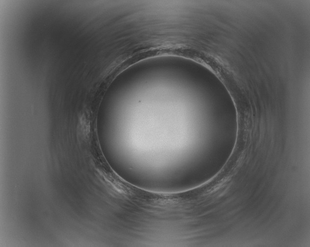 X0000072971257200607211214