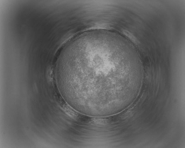 X0000072971258200607211214