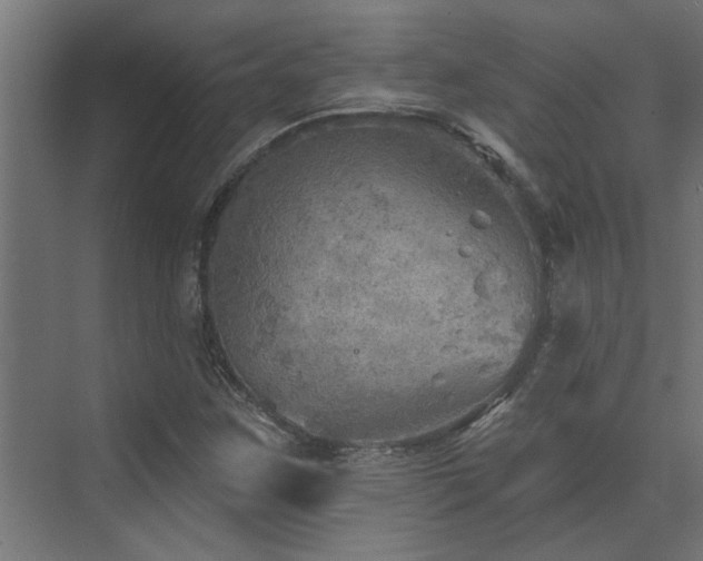 X0000072971259200607211214