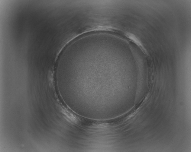 X0000072971260200607211214