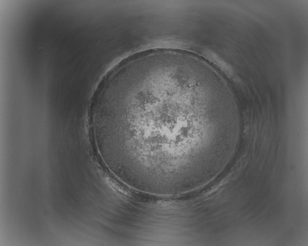 X0000072971264200607211214