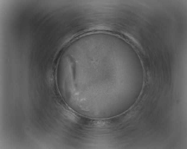 X0000072971266200607211214