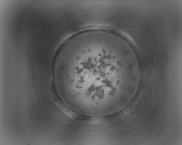 X0000072971267200607211214