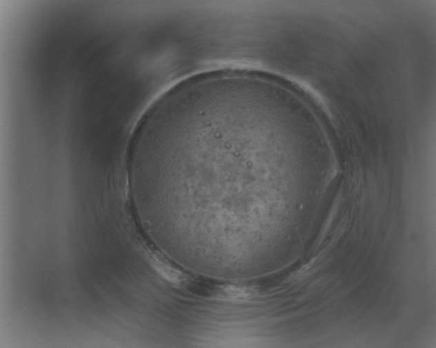 X0000072971271200607211214