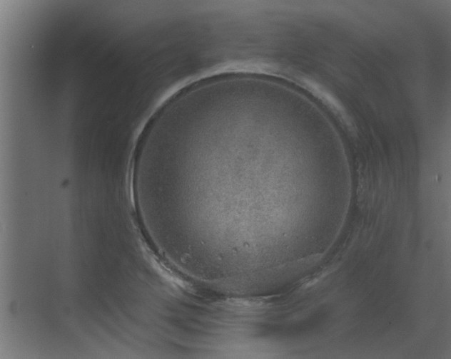 X0000072971272200607211214