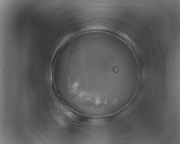 X0000072971274200607211214