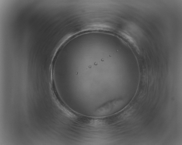 X0000072971275200607211214