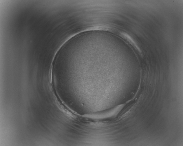 X0000072971276200607211214